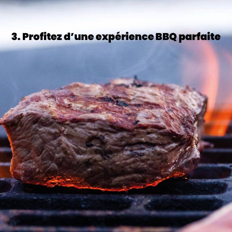 BBQ Master Paquet Y compris les produits d'éclairage, le bois à fumer et les lingettes